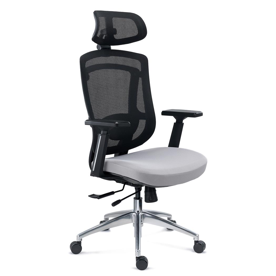 DEMO# Ergonomischer Bürostuhl ASTON, professioneller Einsatz, verstellbare Lordosenstütze, Netzstoff und Stoff, Grau