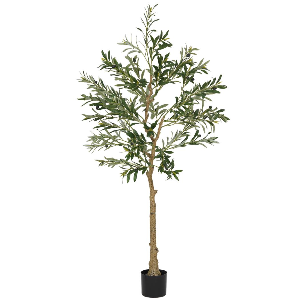 Büropflanze FOLI, Höhe 150cm, künstlicher Olivenbaum in schwarzem Topf