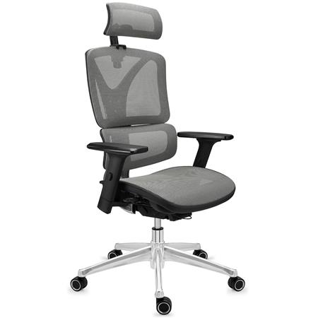 Ergonomischer Bürostuhl APOLO, Maximale Ergonomie, verchromte Metallstruktur, für die 8h-Nutzung, Netzbezug, Farbe Grau