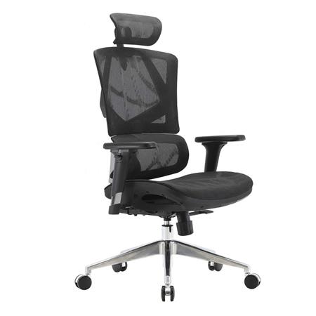 Ergonomischer Bürostuhl PHOENIX PRO, XXL, vielseitig einstellbar, Sitz und Rückenlehne aus Netzstoff, Farbe Schwarz