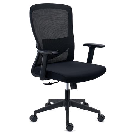ErgErgonomischer Bürostuhl NOTE, verstellbare Lordosenstütze, 8h Nutzung, Netzstoff und Stoff, Schwarz